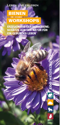 Bienenworkshops im Zoo Heidelberg